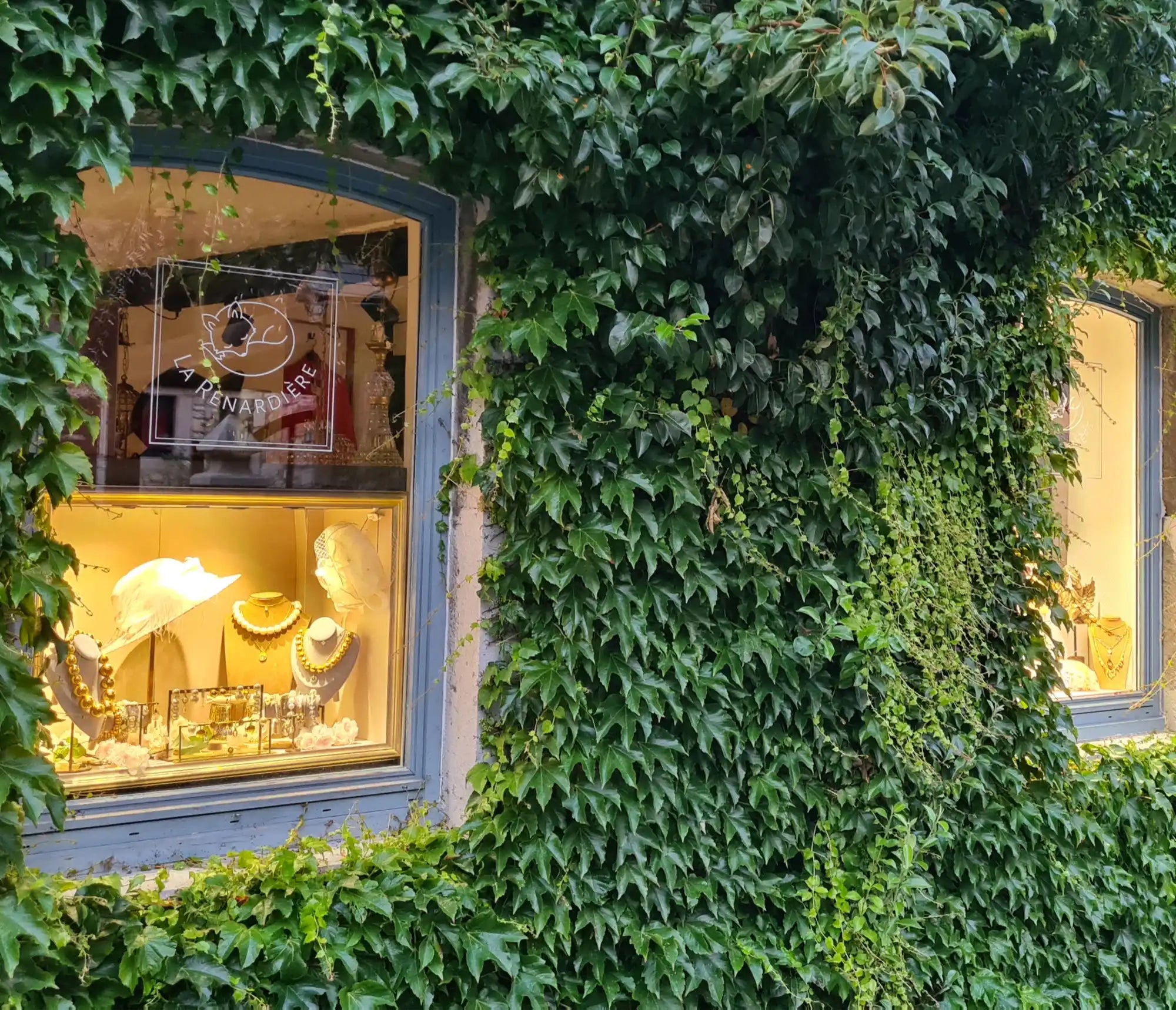 Bâtiment couvert de lierre avec des vitrines. Bâtiment couvert de lierre avec des vitrines.