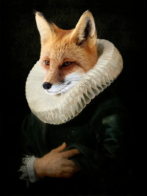 photo d'un renard habillé/ la renardière durbuy photo d'un renard habillé/ la renardière durbuy